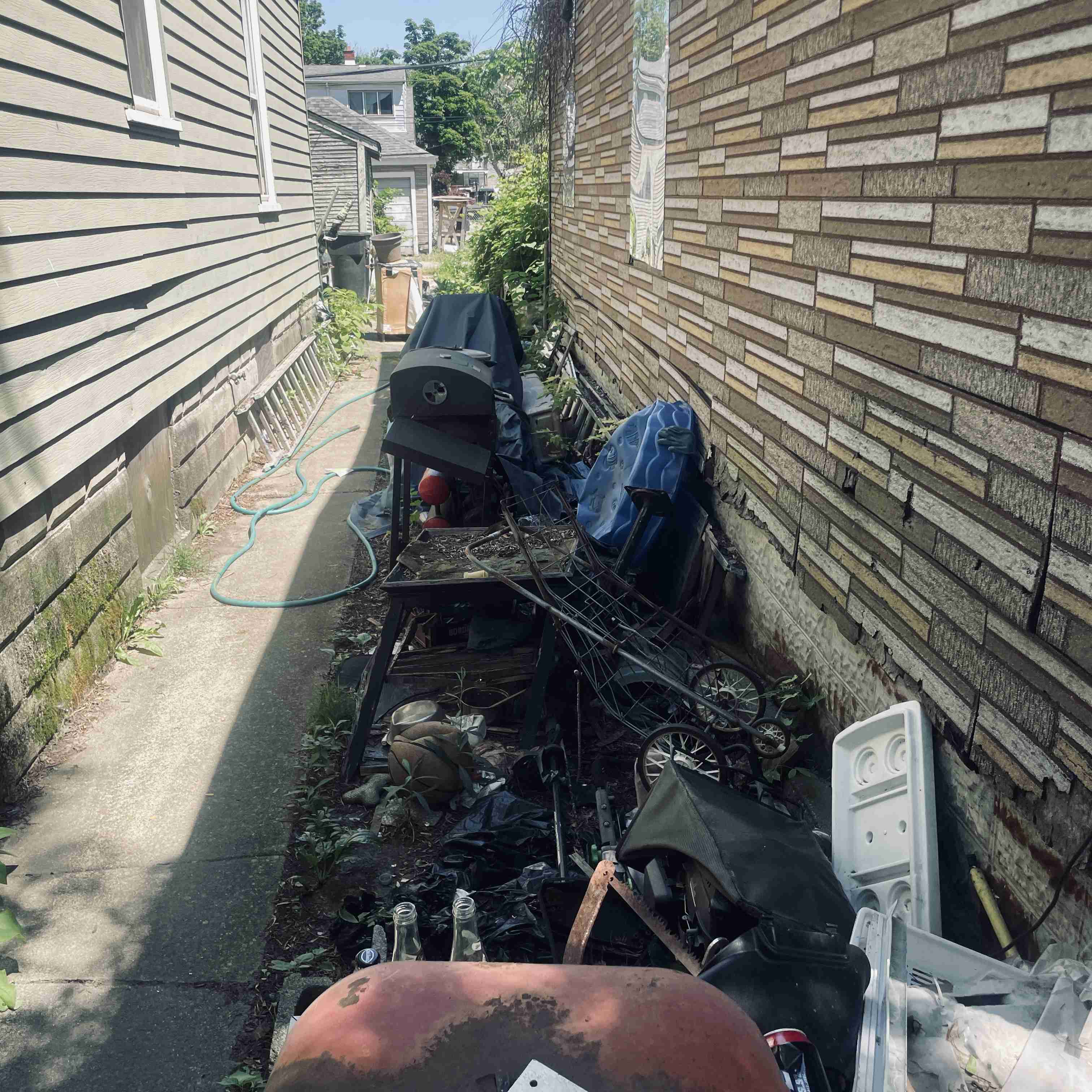 7528 Sarena (15).jpg